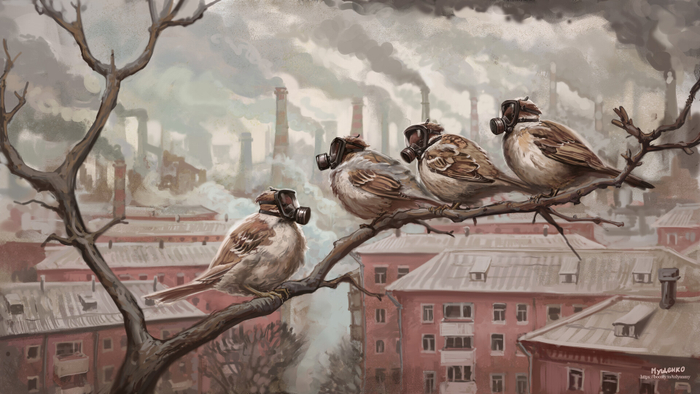 Sparrows