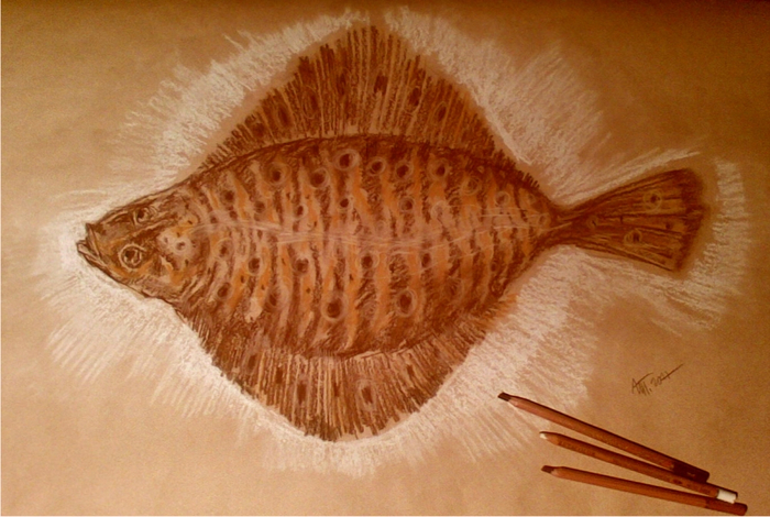 Она не желала стать плоской (камбалиада)