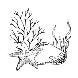 Векоторные иллюстрации, нарисованные вручную