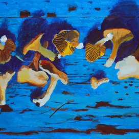 Лисички. Из серии "Деревенское меню".