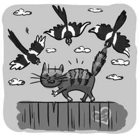 сорочья атака