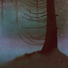 для Кенозерского национального парка