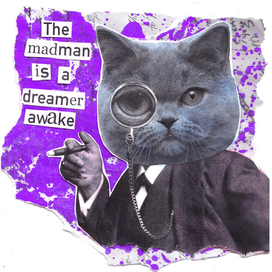 Celebyti like animals