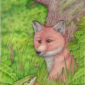 Привет,ты кто?