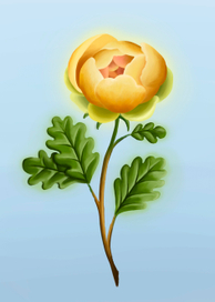 Цветок дуба