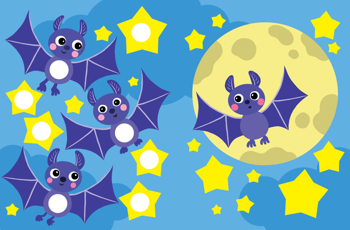 Ночной полёт