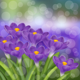 Весенние цветы Векторная иллюстрация