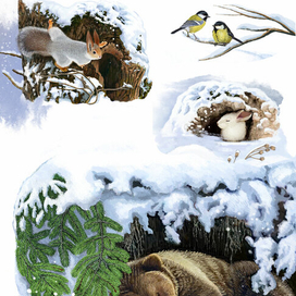 Иллюстрации к сборнику стихотворений Анжелы Снежковой "Чудеса живут повсюду"