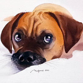 ,,Г-гав! Я позирую,,