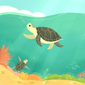 Зеленые морские черепахи