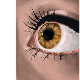 Глаз