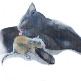 Кот уснул и видит сон, словно в мышку он влюблен