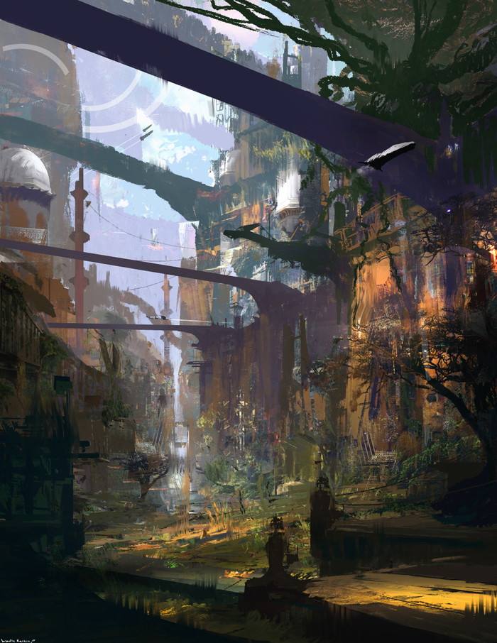 Каннорадор