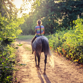 Теплый вечер 