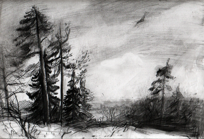 у Вифанских прудов в Сергиевом Посаде