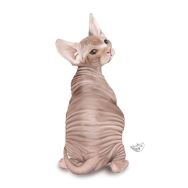 Котенок CG - 15 часов