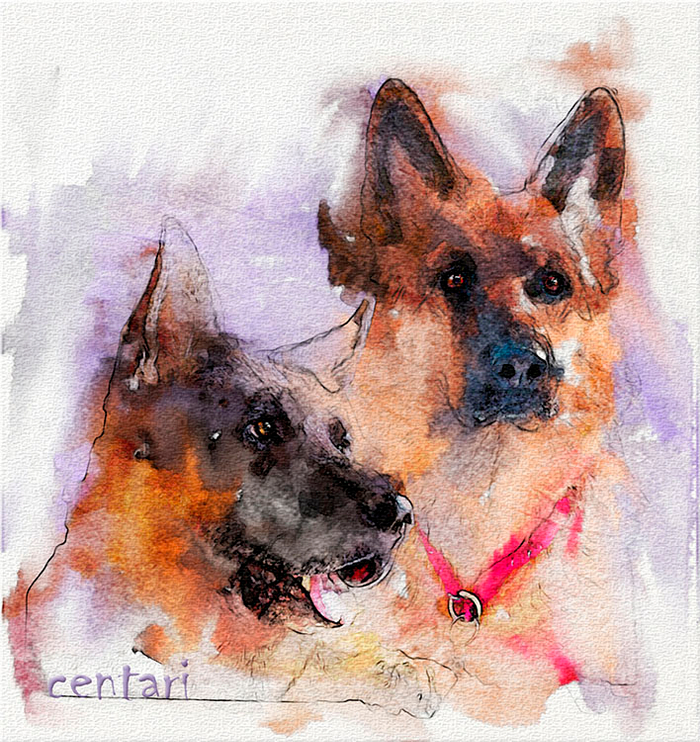 Ункас и Центари