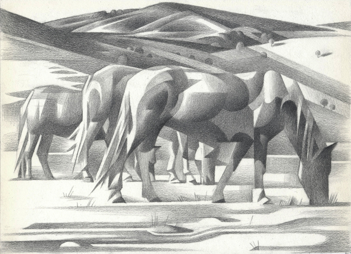 Лошади, Котел