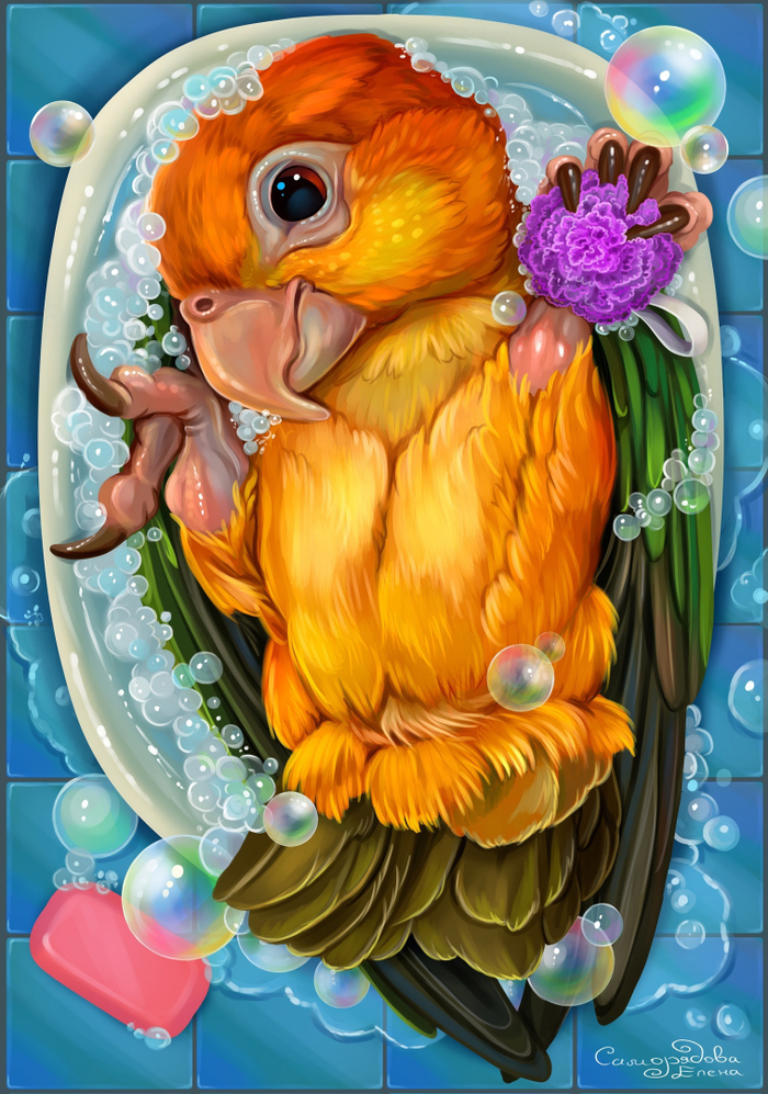 Попугайчик