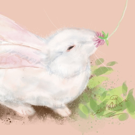 Кролик и клевер