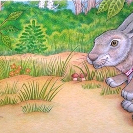 Встреча с зайцем