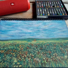 поле августа 