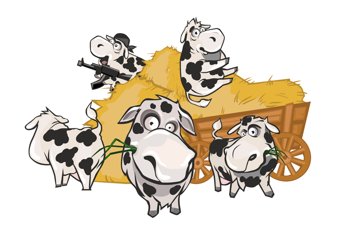 Cows