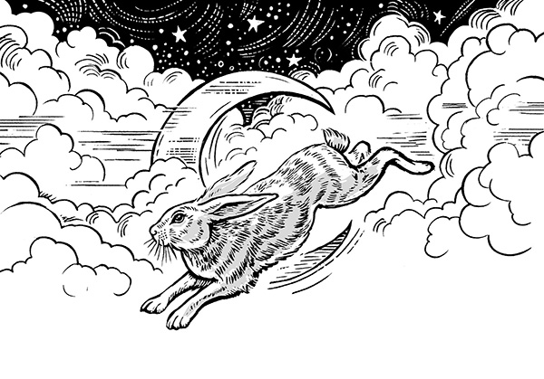 Лунный заяц