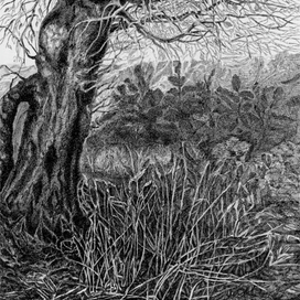 Просто... дерево... А3, черные линеры, ноябрь 2016