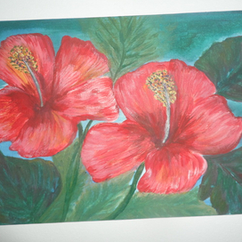 Китайская роза