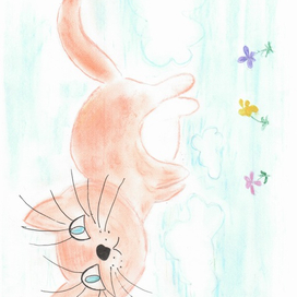 котик в облаках