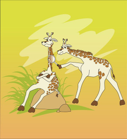 Забавные жирафы