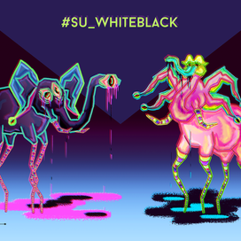 Contest from Skills Up School "WhiteBlack"