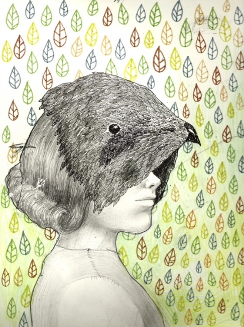 (без названия)