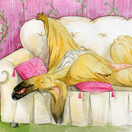 Сиеста. Серия «Любимые афганы».