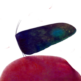 Александр Пушкин \ Сказка о мертвой царевне и о семи богатырях \ заставка