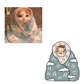 котомем