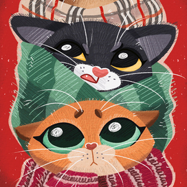 Котики в Одеялках