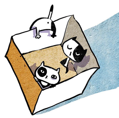 возьмите котенка