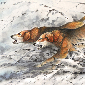 Гончие собаки. Русская гончая.