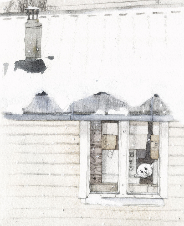 "Эти глаза напротив"