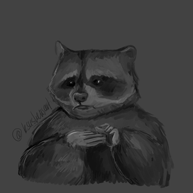 Racoon