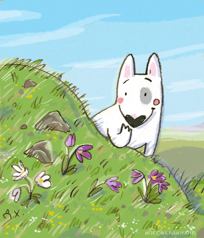 первые цветы в горах