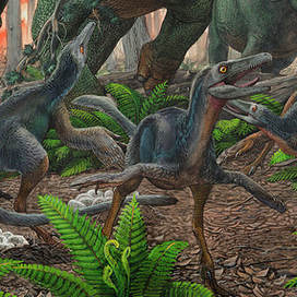 Космоцератопс и троодоны