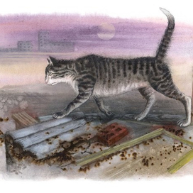 В поисках утерянного счастья...