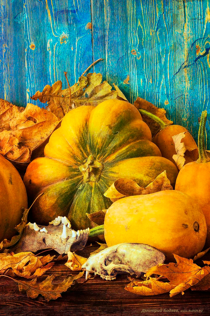 Осенний натюрморт с мертвячинкой