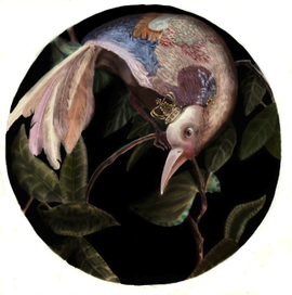 Птица-царица