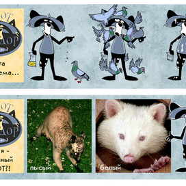 Енот Иссидор во втором формате.