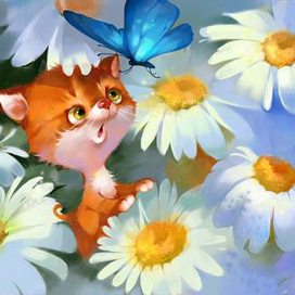 Маленький котенок