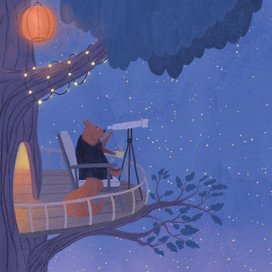 Звездная ночь